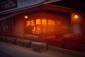 欲望酒店女主角林薇扮演者剧照，职业套装，神情冷静而坚定，酒店走廊背景，体现危机公关总监的专业气质